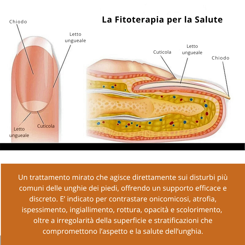 Cerotto Fitoterapico contro Funghi Ungueali
