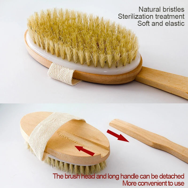 Detachable Shower Brush for The Back Bathroom Brush Back Dry Brushing Body Body Exfoliating Massage Shower