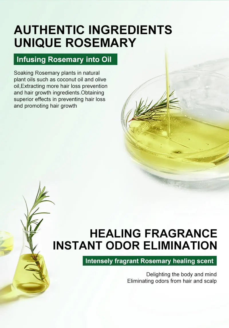 PURC Rosemary Oil Hair Loss Treatment Ginger Hair Growth Products for Men Women Smoothing Anti-Frizz Hair Care