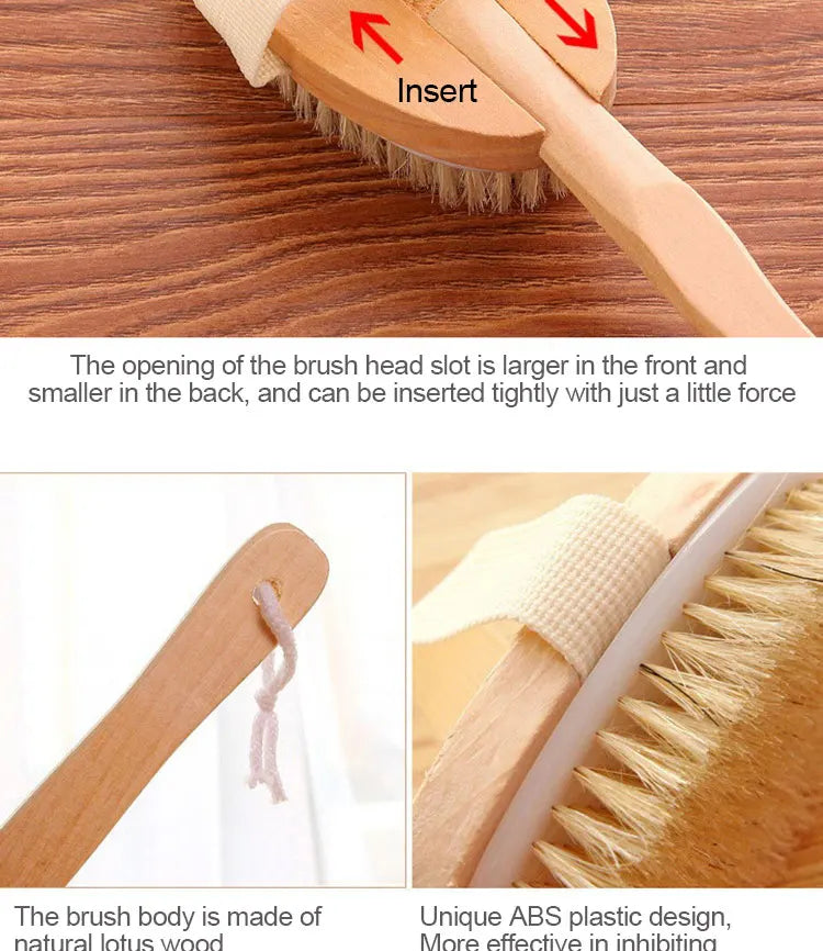 Detachable Shower Brush for The Back Bathroom Brush Back Dry Brushing Body Body Exfoliating Massage Shower