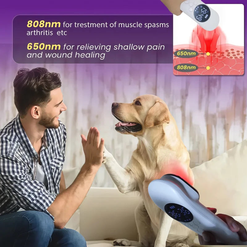 808nm 650nm LLLT Low-level Laser Device, Hand-held Cold Laser Therapy for Neck Back Arthritis Pain Relief Treatment