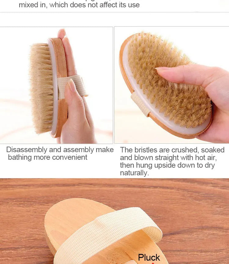 Detachable Shower Brush for The Back Bathroom Brush Back Dry Brushing Body Body Exfoliating Massage Shower