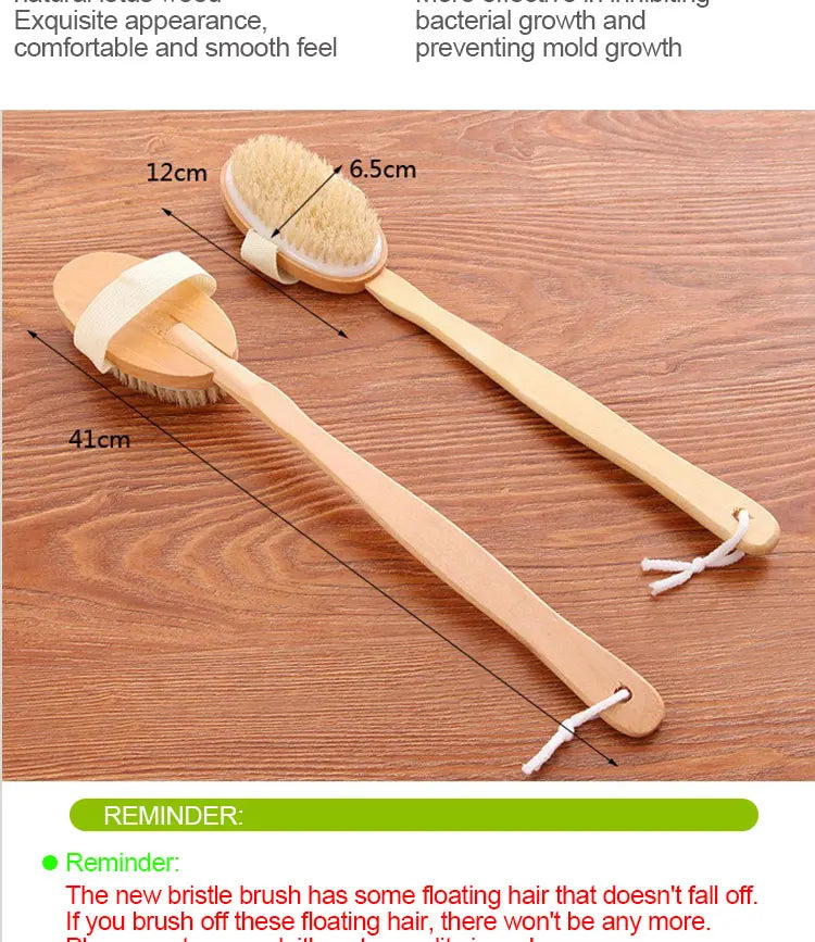 Detachable Shower Brush for The Back Bathroom Brush Back Dry Brushing Body Body Exfoliating Massage Shower