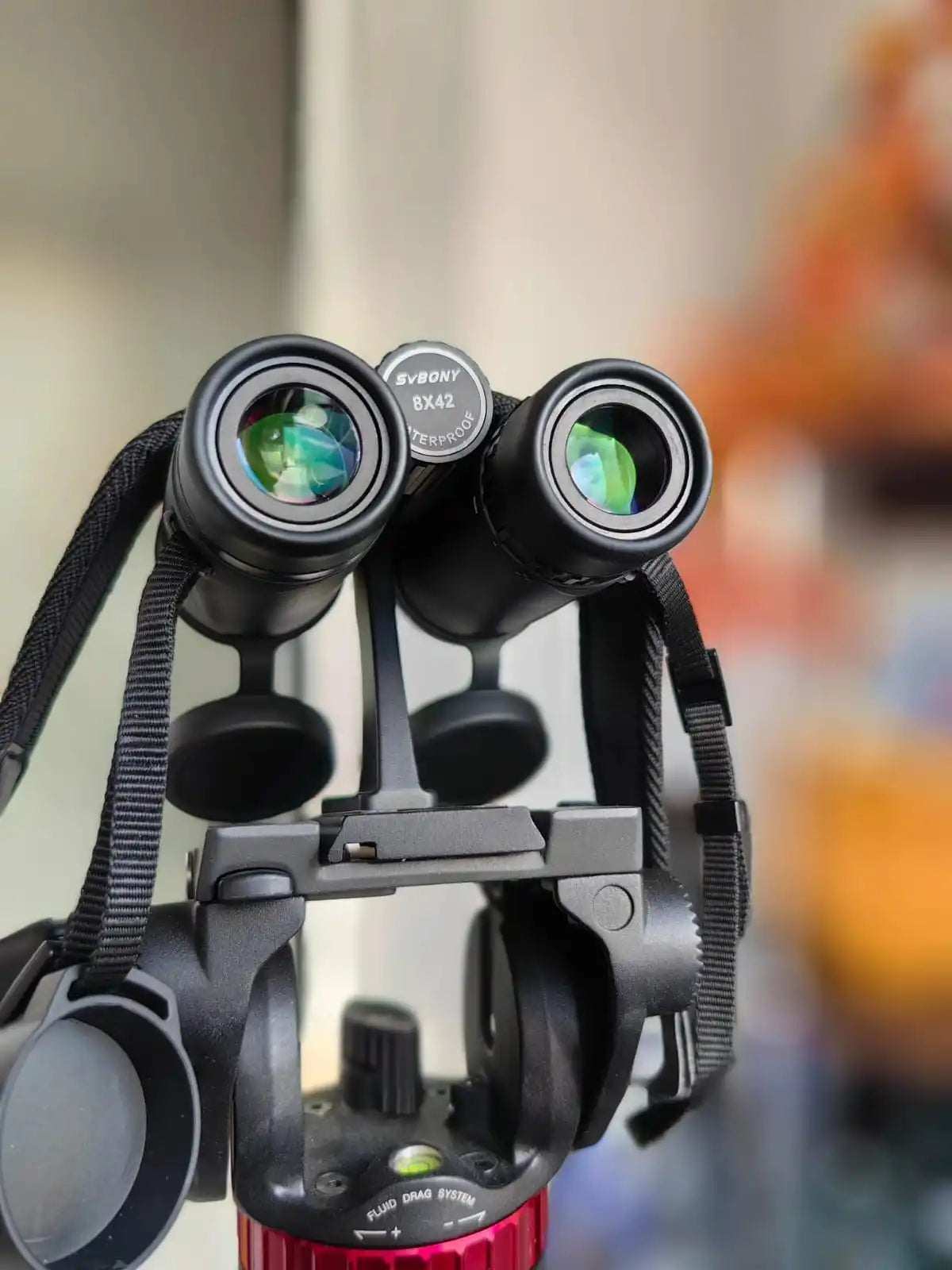 Svbony SA205 Binoculars 8X42/10X42 ED Flat-field Professional IPX7 Waterproof BAK4,Bird Watching,Stargazing,Camping,Astronomy