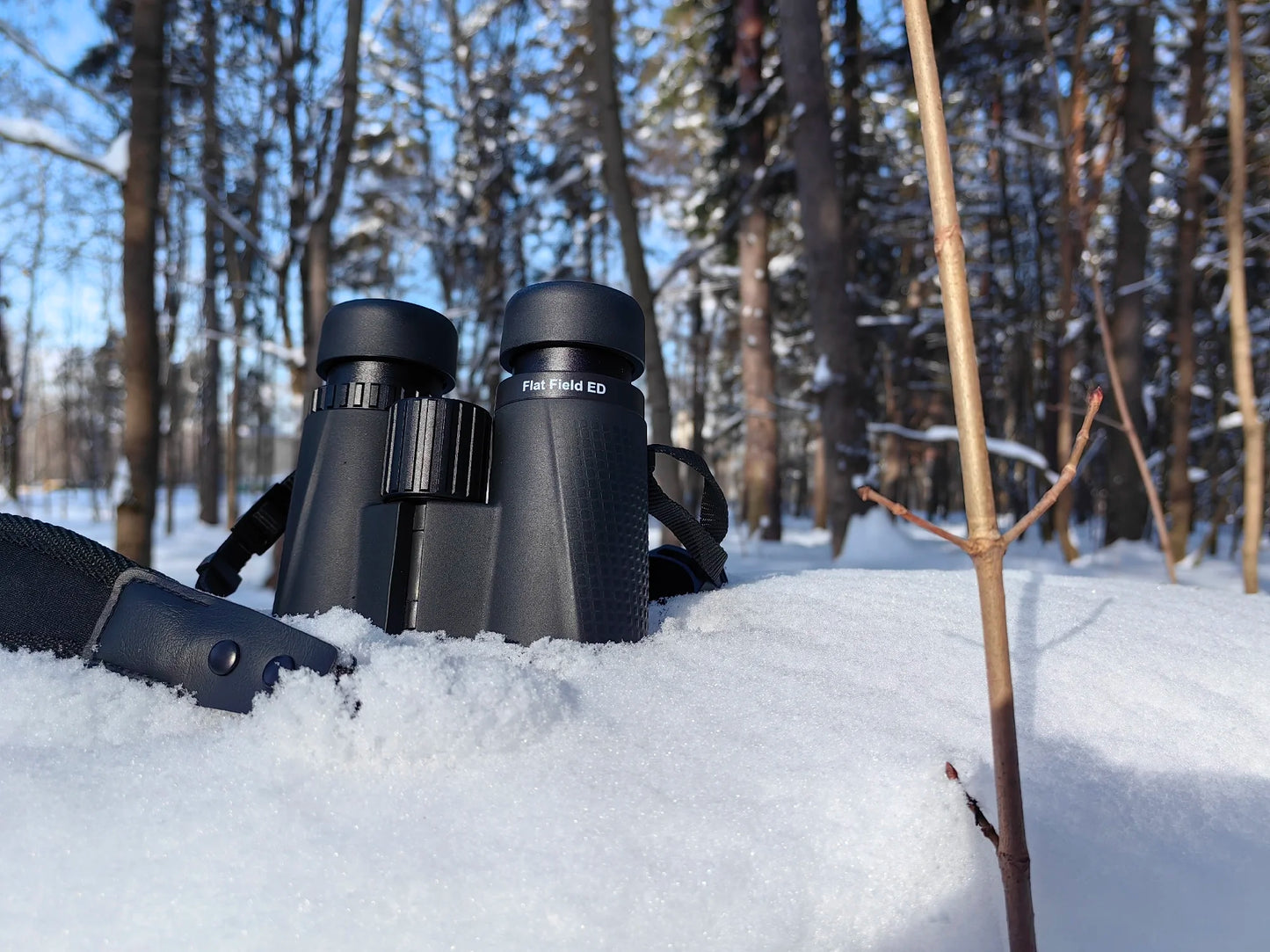 Svbony SA205 Binoculars 8X42/10X42 ED Flat-field Professional IPX7 Waterproof BAK4,Bird Watching,Stargazing,Camping,Astronomy