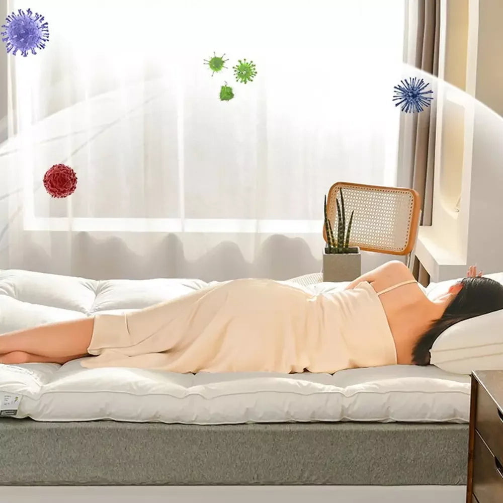 1.2*2M- 2*2.2M Mattress Thickened Cushion Home Tatami Dormitory Single Dormitory Bed Carpet Autumn Winter Mattress