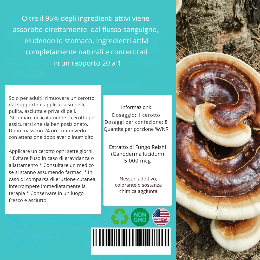 Cerotto transdermico con estratto concentrato di Fungo Reishi