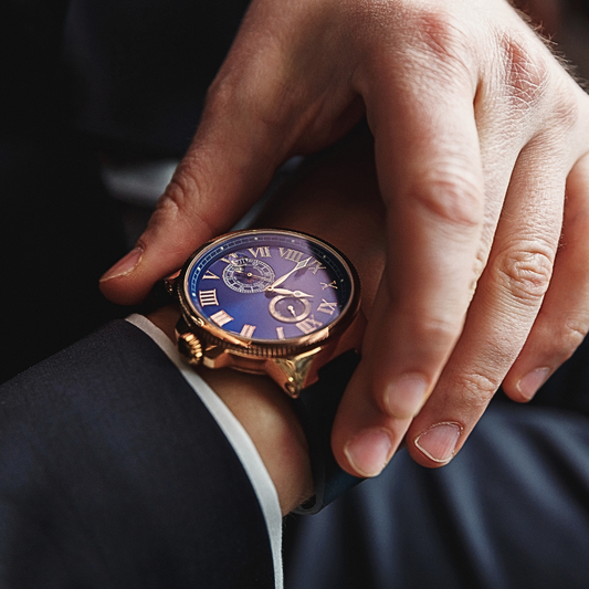 Organizer da Viaggio per orologi